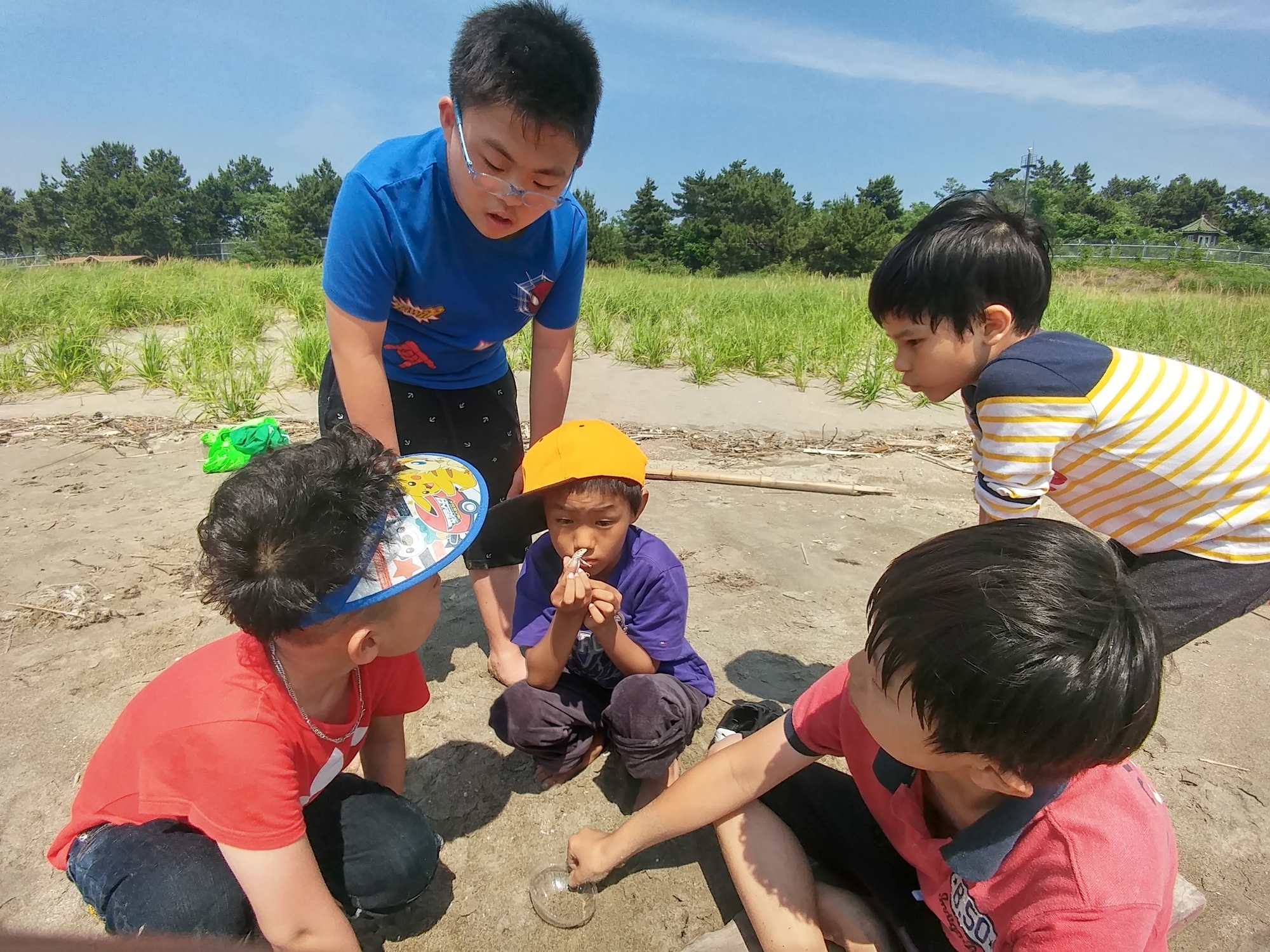 찾았다~~!  표범장지뱀~~^^